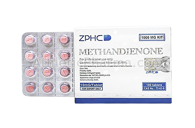 Methandienone (ZPHC) 100tab