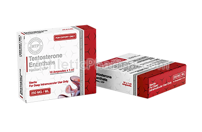 Testosterone Enanthate (HTP) 10 ампул (1ml x 10)